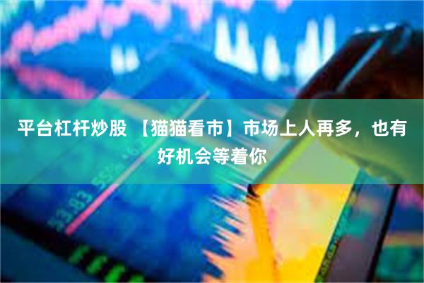 平台杠杆炒股 【猫猫看市】市场上人再多，也有好机会等着你
