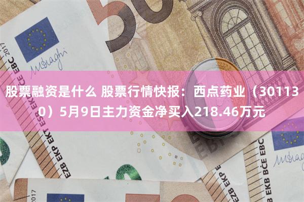 股票融资是什么 股票行情快报：西点药业（301130）5月9日主力资金净买入218.46万元