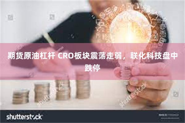 期货原油杠杆 CRO板块震荡走弱，联化科技盘中跌停