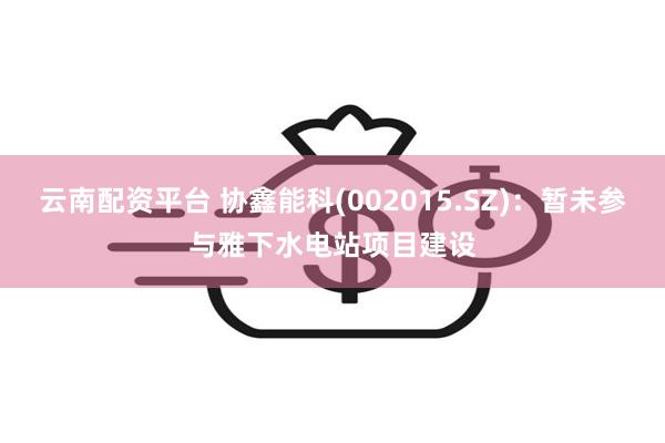 云南配资平台 协鑫能科(002015.SZ)：暂未参与雅下水电站项目建设