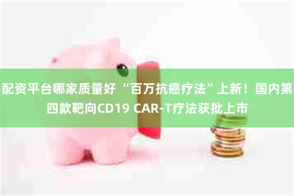 配资平台哪家质量好 “百万抗癌疗法”上新！国内第四款靶向CD19 CAR-T疗法获批上市