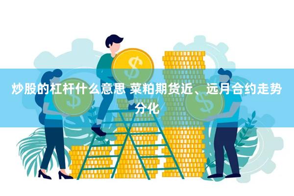 炒股的杠杆什么意思 菜粕期货近、远月合约走势分化