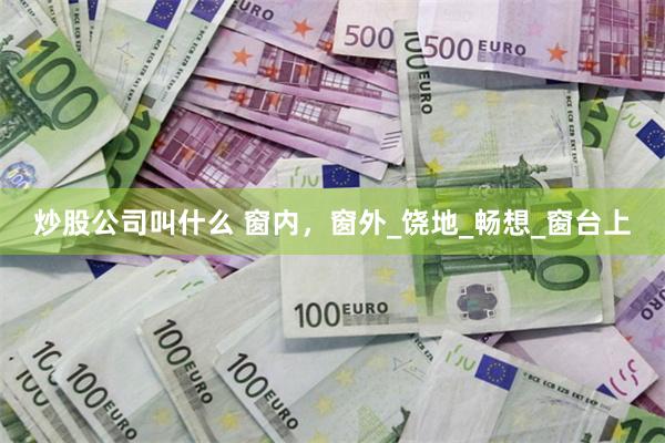 炒股公司叫什么 窗内，窗外_饶地_畅想_窗台上