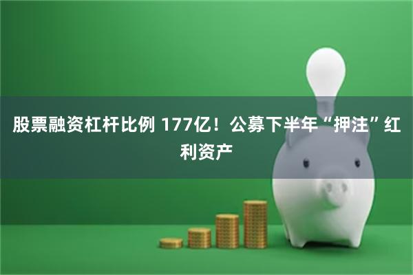 股票融资杠杆比例 177亿!公募下半年“押注”红利资产